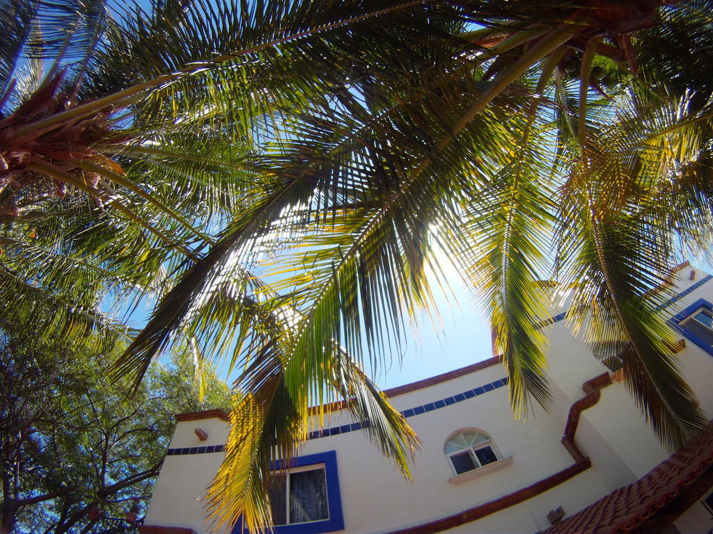 Hacienda Paraiso De La Paz Bed & Breakfast Phòng bức ảnh